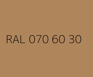 Spalva RAL 070 60 30 