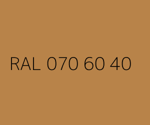 Spalva RAL 070 60 40 