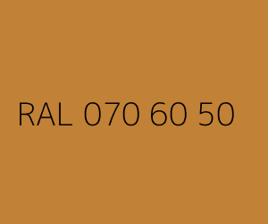 Spalva RAL 070 60 50 