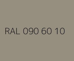 Spalva RAL 090 60 10 