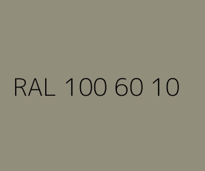 Spalva RAL 100 60 10 