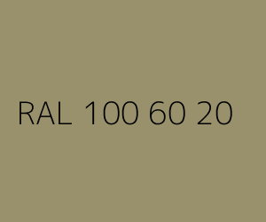 Spalva RAL 100 60 20 