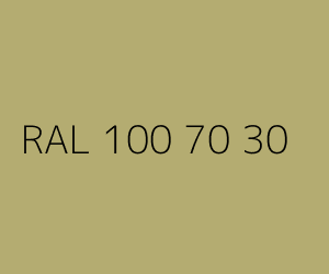 Spalva RAL 100 70 30 