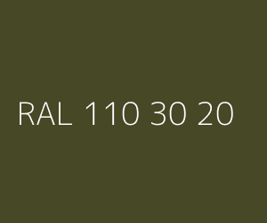 Spalva RAL 110 30 20 