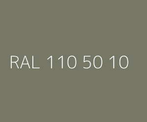 Spalva RAL 110 50 10 