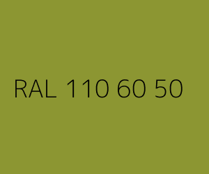 Spalva RAL 110 60 50 
