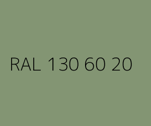 Spalva RAL 130 60 20 