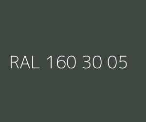 Spalva RAL 160 30 05 