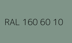 Spalva RAL 160 60 10