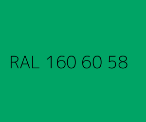 Spalva RAL 160 60 58 