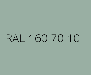 Spalva RAL 160 70 10 