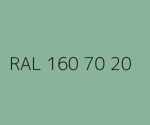 Spalva RAL 160 70 20 