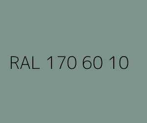 Spalva RAL 170 60 10 