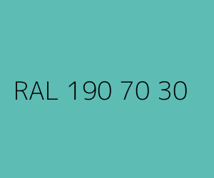 Spalva RAL 190 70 30 
