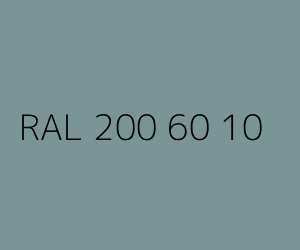 Spalva RAL 200 60 10 