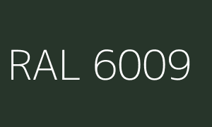 Spalva RAL 6009