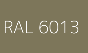Spalva RAL 6013